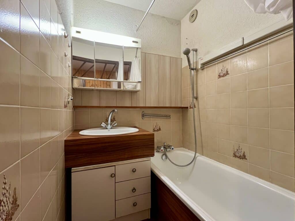 Vente T2 Appartement Chatel Portes Du Soleil Sdb Baignoire Prop