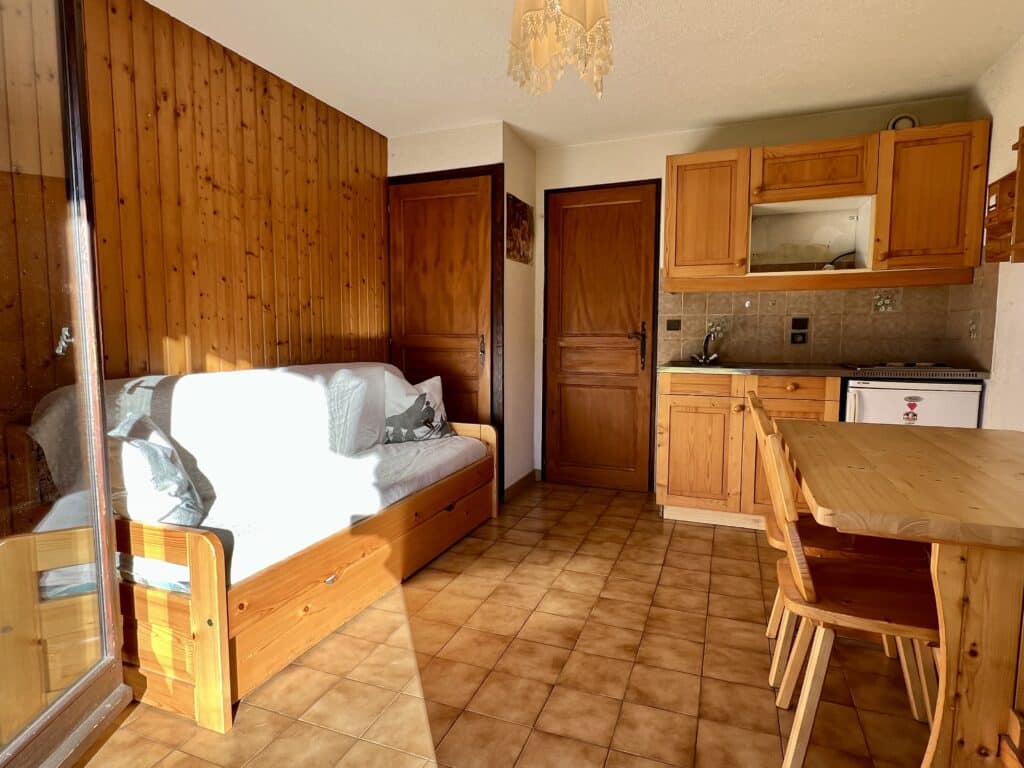 Vente T2 Appartement Chatel Portes Du Soleil Sejour Rdc Tres Mu