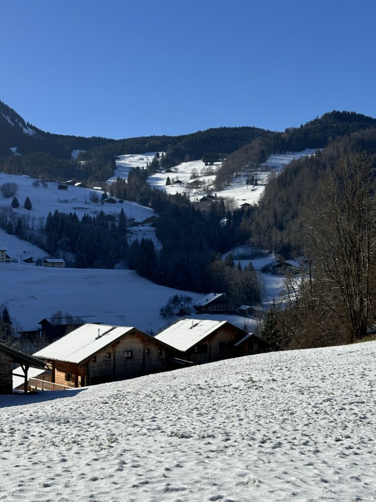 A Vendre Terrain Abondance Portes Du Soleil Proche Suisse Dominant