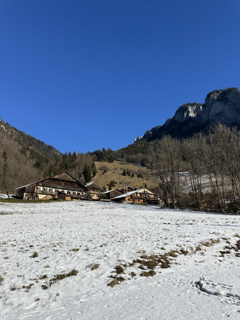 A Vendre Terrain Abondance Portes Du Soleil Proche Suisse Vue Mont De Grange
